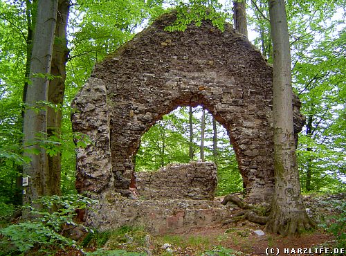 Burgruine Grasburg