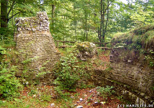 Die Burgruine Sachsenstein