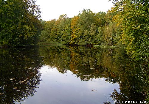 Der Eck-Teich bei Walkenried