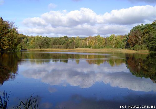 Der Hirseteich bei Walkenried