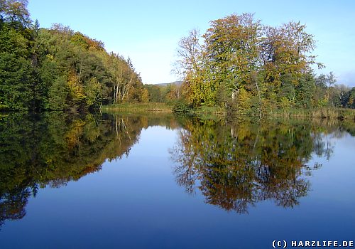 Höllteich an den Höllsteinklippen bei Walkenried