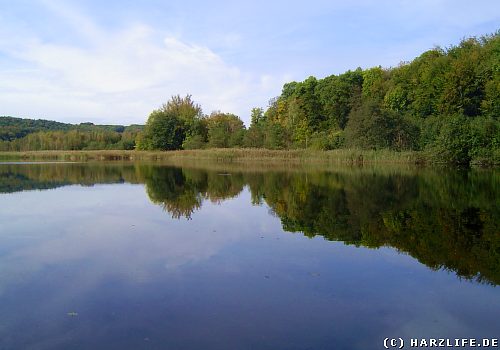 Der Itelteich