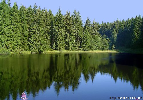 Blick auf den Mittleren Einersberger Teich Der Mittlere Einersberger Teich