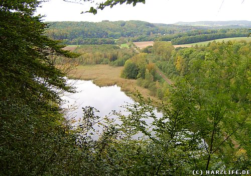 Ausblick vom Himmelreich auf den Itelteich