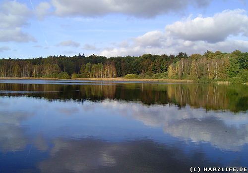 Priorteich im Naturschutzgebiet