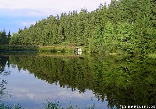 38+ Spiegeltaler Teiche Hund, Der see kann aus den umliegenden orten