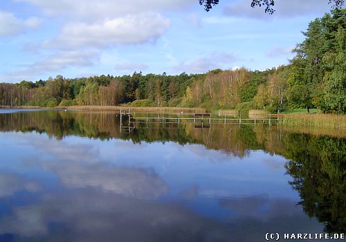 Der Priorteich bei Walkenried