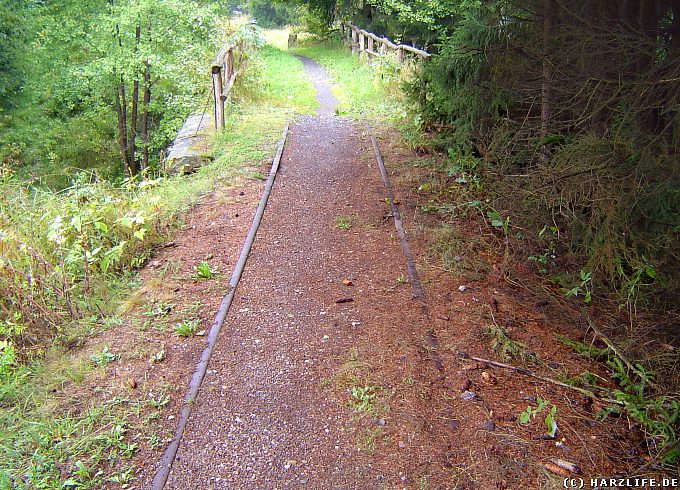 Das letzte Gleis der Südharzeisenbahn