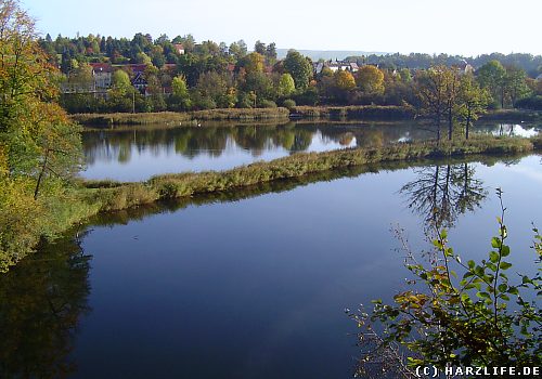 Fischteiche bei Walkenried