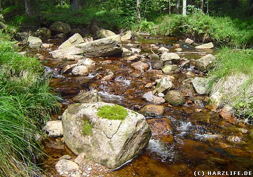 Die Warme Bode bei Braunlage