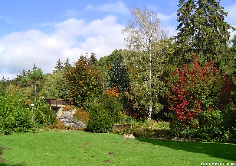 Im Kurpark von Bad Sachsa