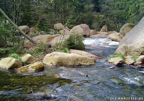 Landschaft im Okertal im Harz