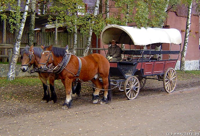 Pferdekutsche in Pullman City II