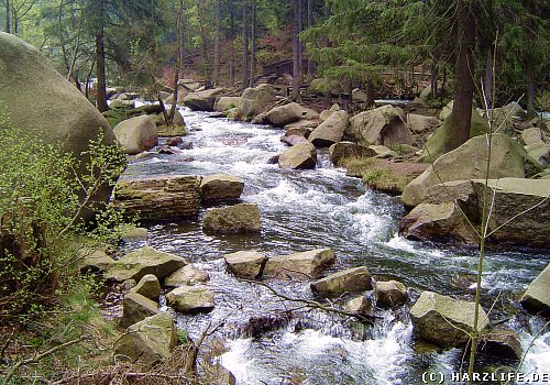 Die Oker im Harz