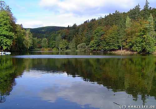 Der Schmelzteich bei Bad Sachsa